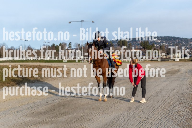 20211128-122854-DSC8708