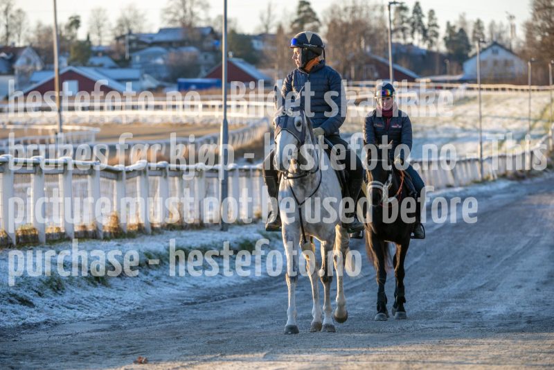 20251227-112624-DSC_5516