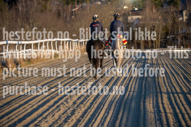20251227-112720-DSC_5550