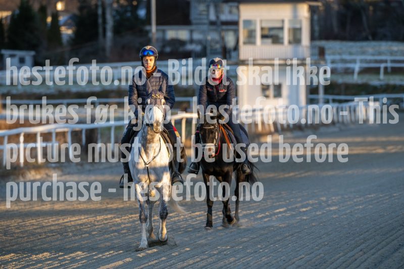 20251227-113038-DSC_5690