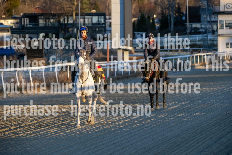 20251227-113043-DSC_5718