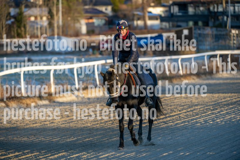 20251227-113049-DSC_5737