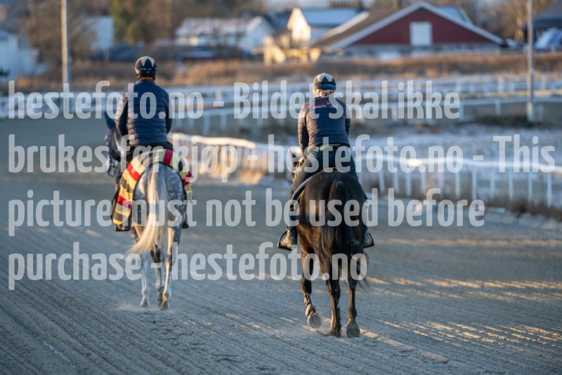20251227-113113-DSC_5769