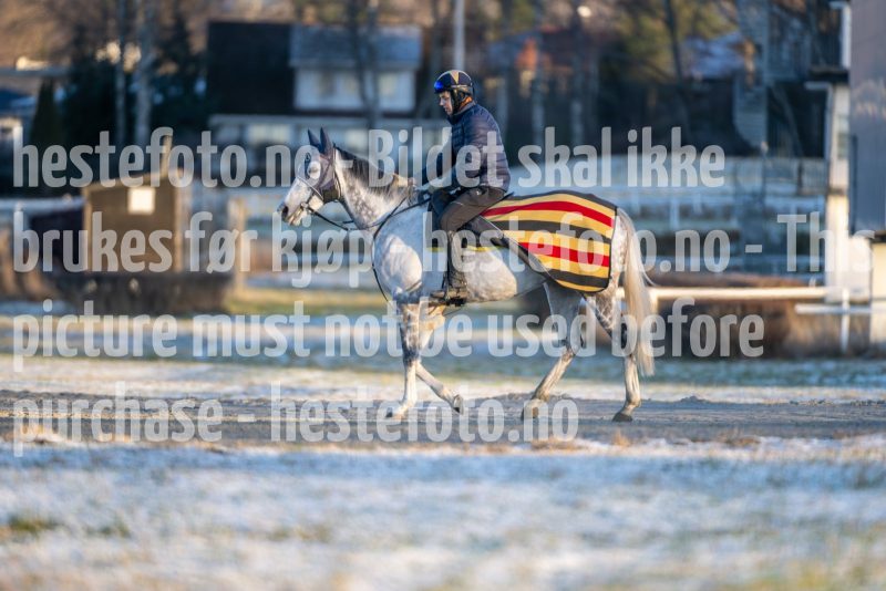 20251227-113835-DSC_6118