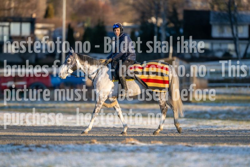 20251227-113837-DSC_6137