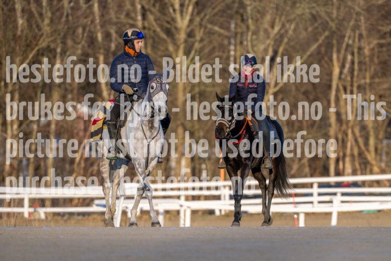 20251227-114020-DSC_6358