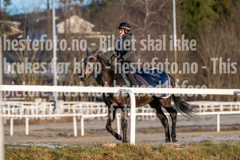 20251227-114209-DSC_6464