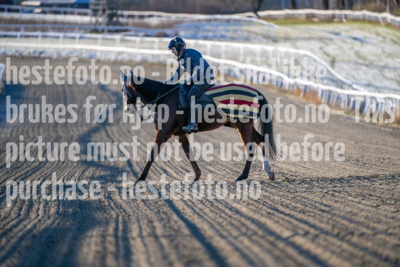 20251227-124005-DSC_6616