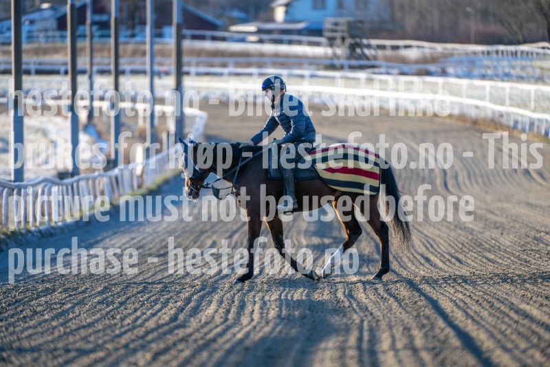 20251227-124007-DSC_6631