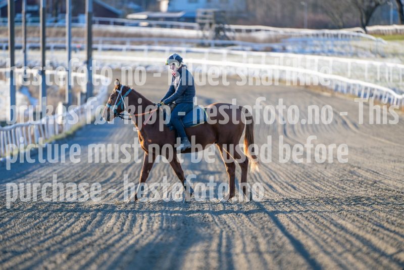 20251227-124011-DSC_6672