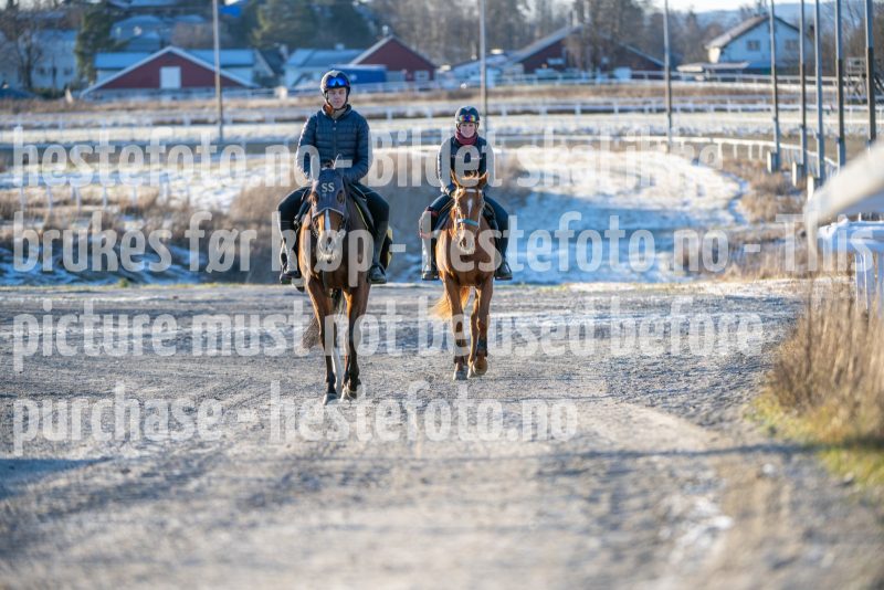 20251227-124036-DSC_6703