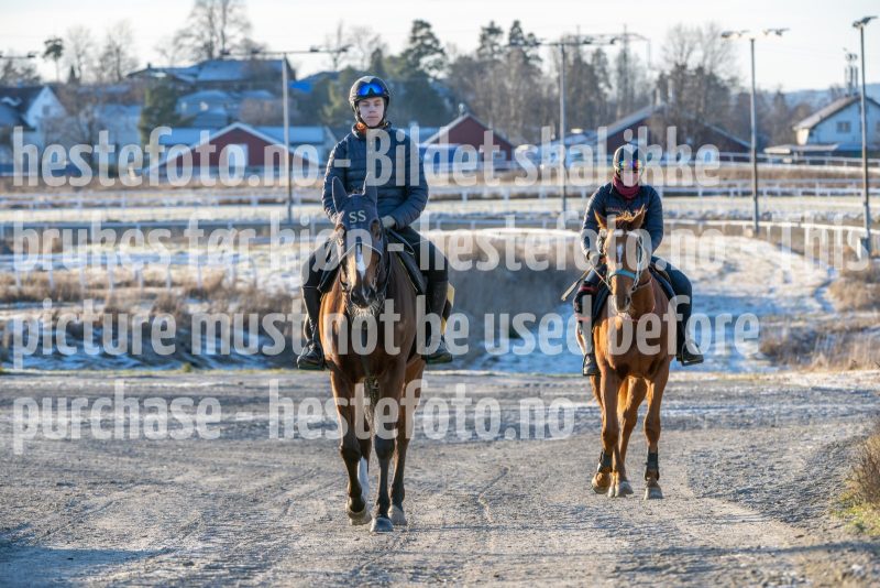 20251227-124043-DSC_6740