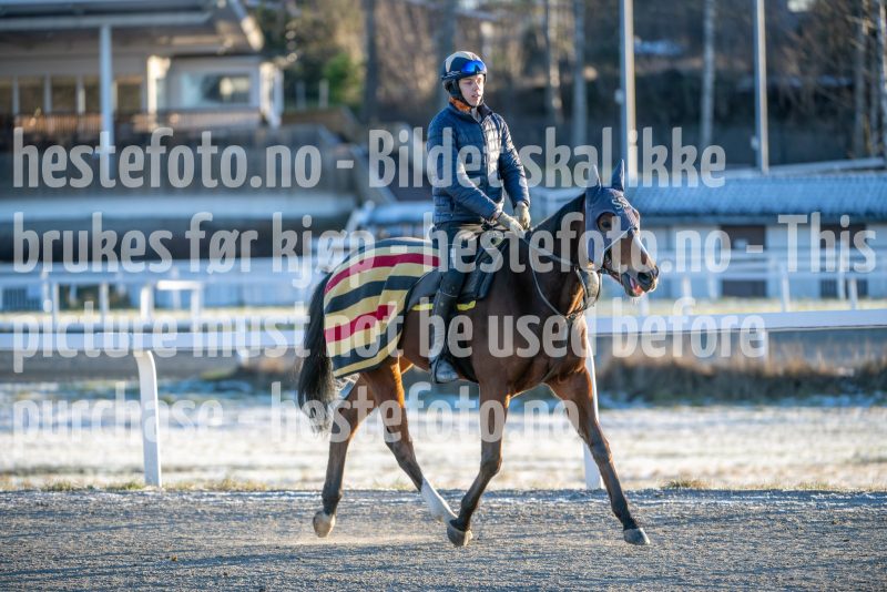 20251227-124519-DSC_6946