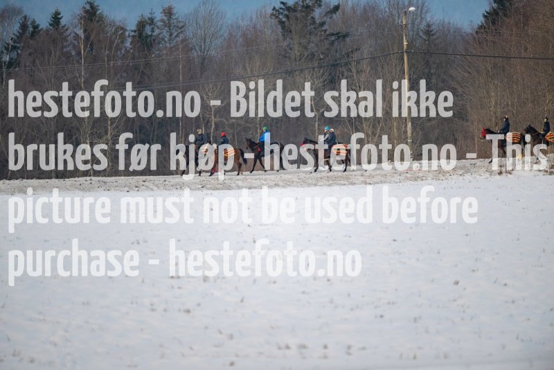 20230128-102608-DSC_0041