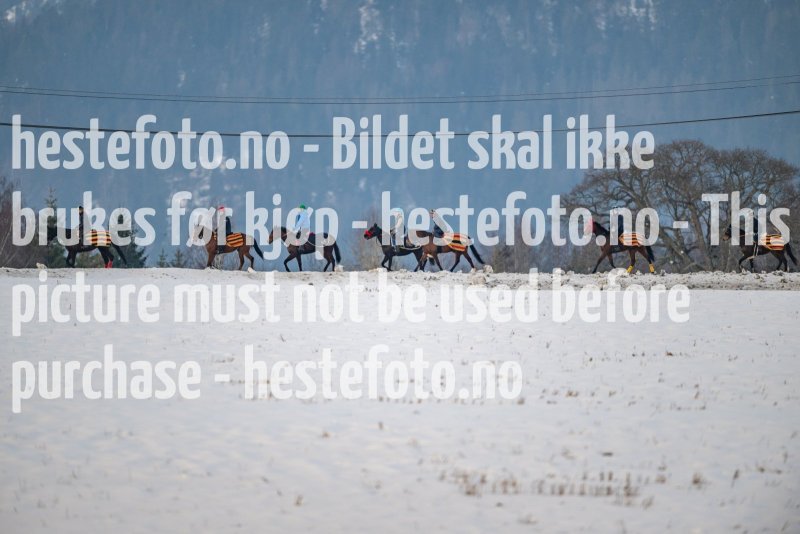 20230128-102631-DSC_0063