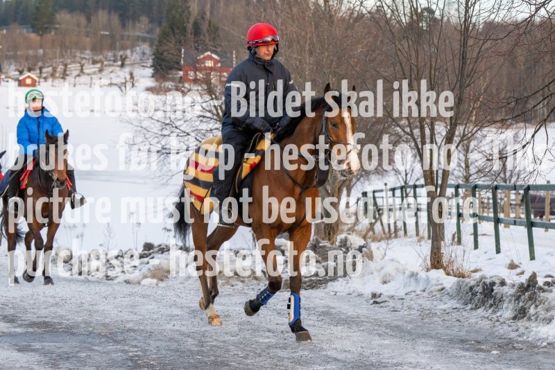 20230128-103410-DSC_0417