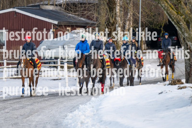 20230128-105521-DSC_0544