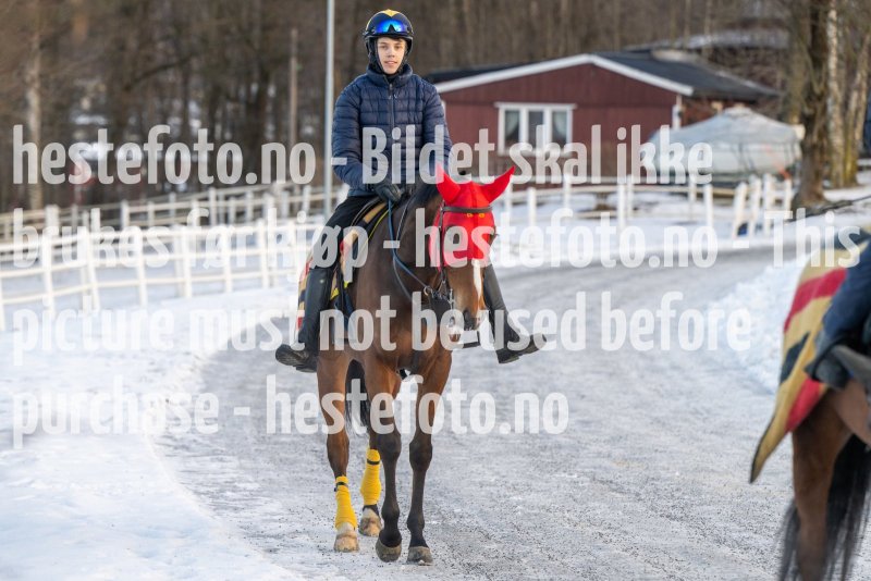 20230128-105611-DSC_0670
