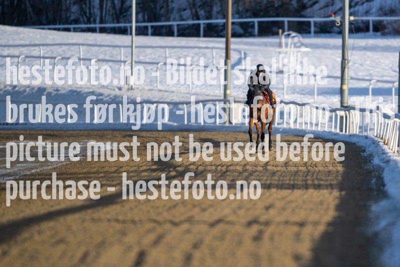 20230128-121522-DSC_0902