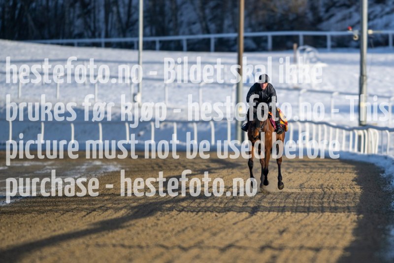 20230128-121526-DSC_0911