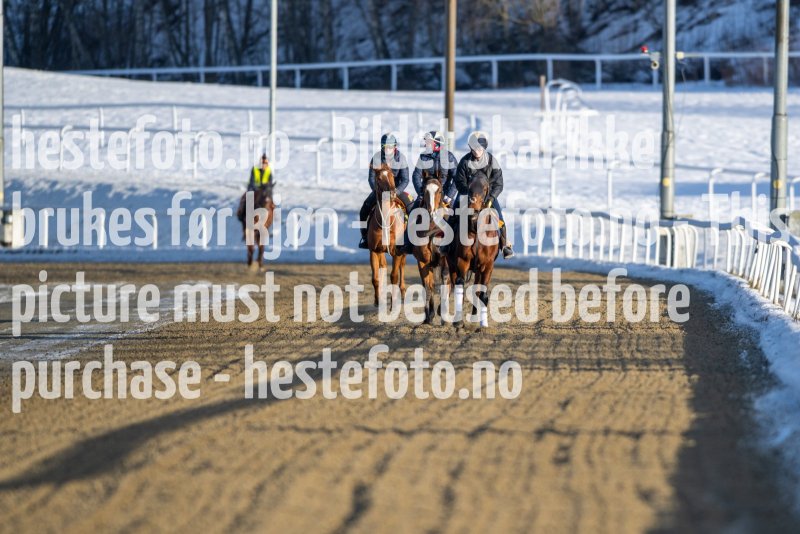 20230128-121701-DSC_0968