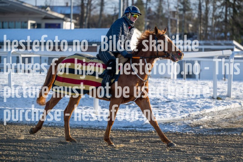 20230128-121818-DSC9986