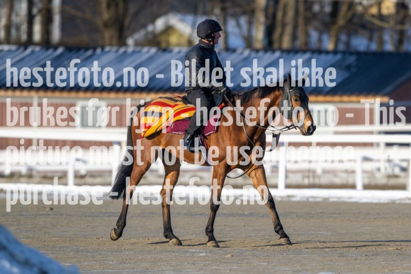 20230128-121934-DSC_1185