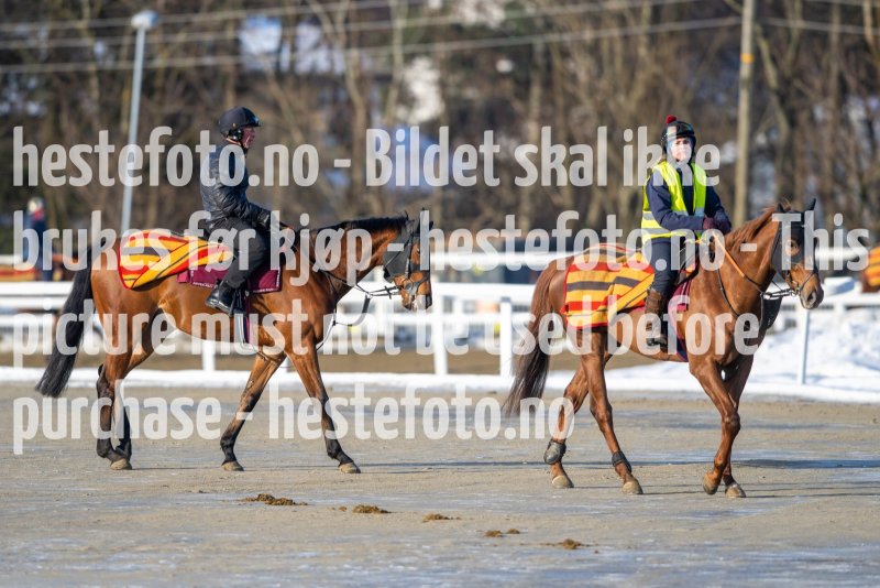 20230128-121940-DSC_1194