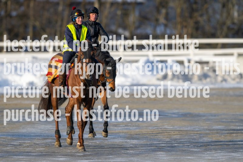 20230128-121948-DSC_1220