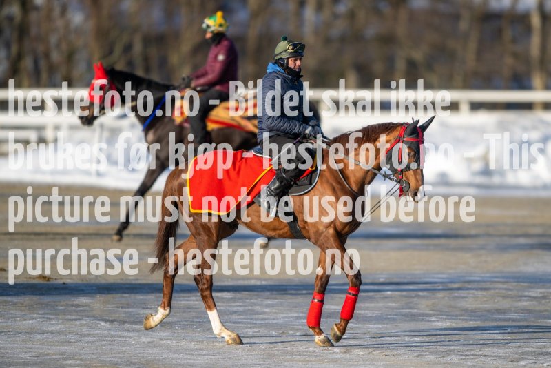 20230128-122033-DSC_1257