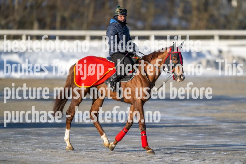 20230128-122035-DSC_1265