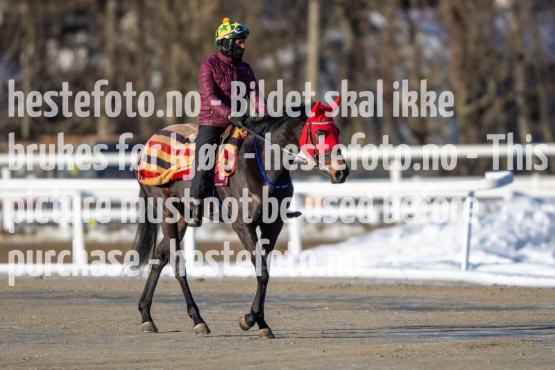 20230128-122121-DSC_1326
