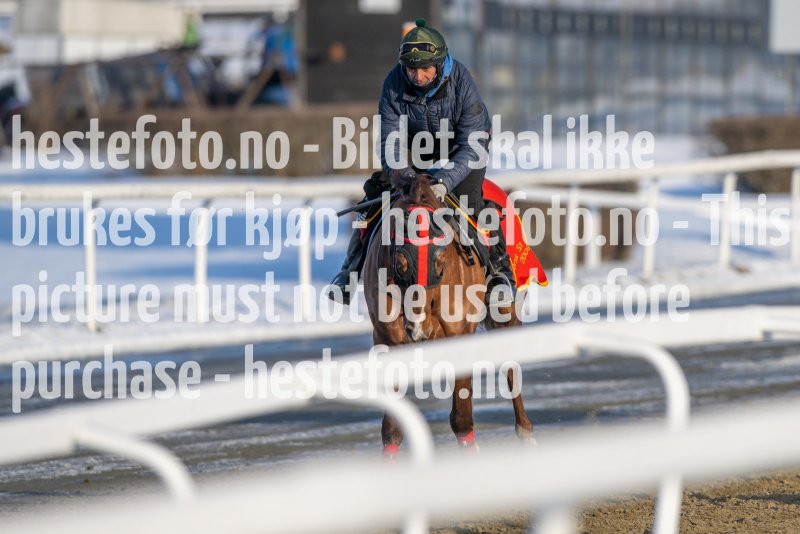 20230128-122419-DSC_1582
