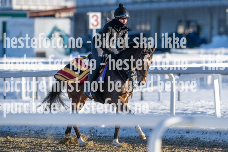 20230128-123233-DSC_1679