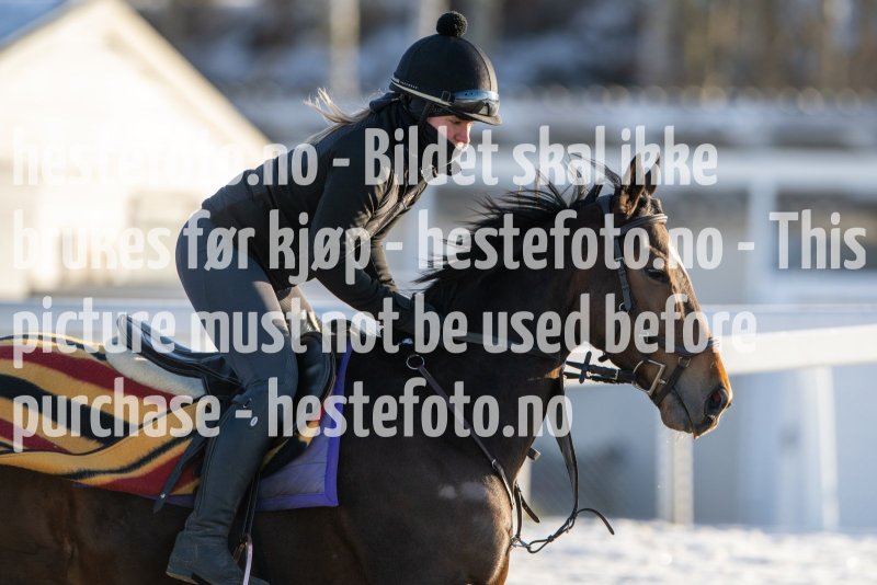 20230128-123238-DSC_1712