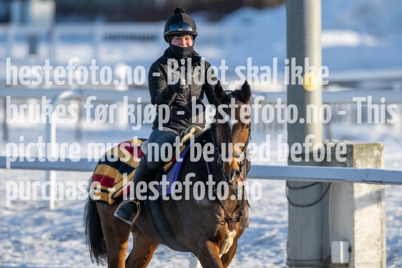 20230128-123612-DSC_1932