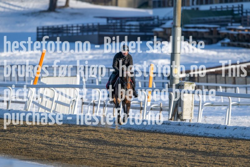 20230128-123646-DSC_1983