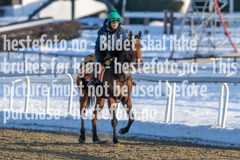 20230128-123715-DSC_2043