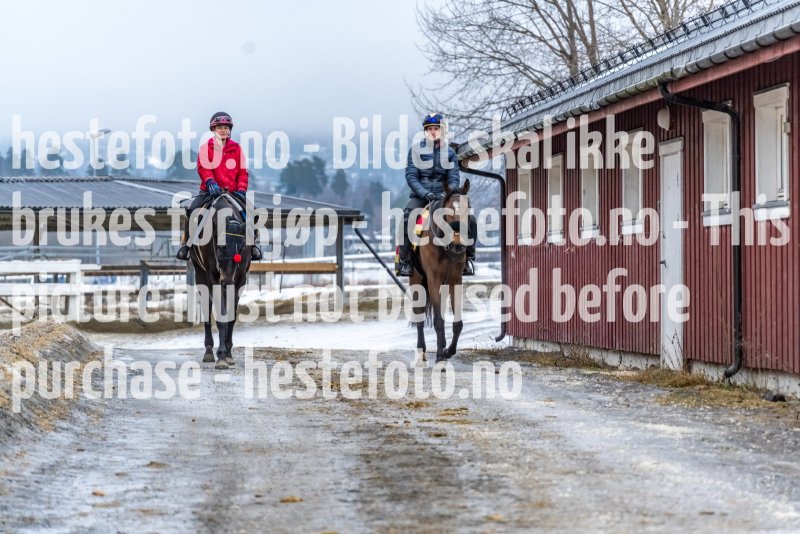 20220129-120142-DSC0514
