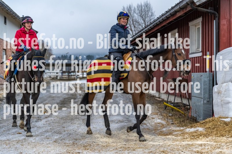 20220129-120158-DSC0528