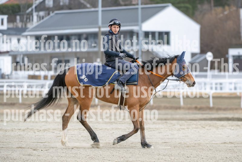 20250329-104012-DSC_8160