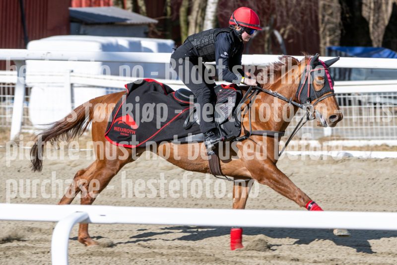 20250329-112605-DSC_8603