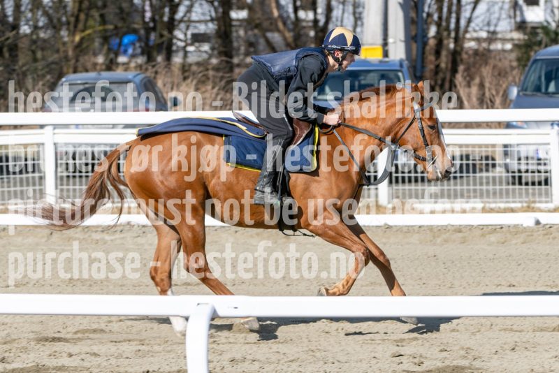 20250329-114404-DSC_9270