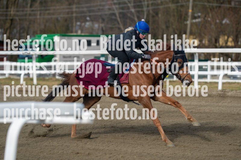 20230429-093422-DSC02258