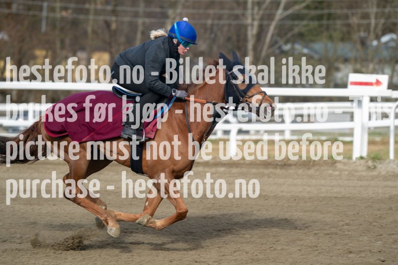 20230429-093422-DSC02260