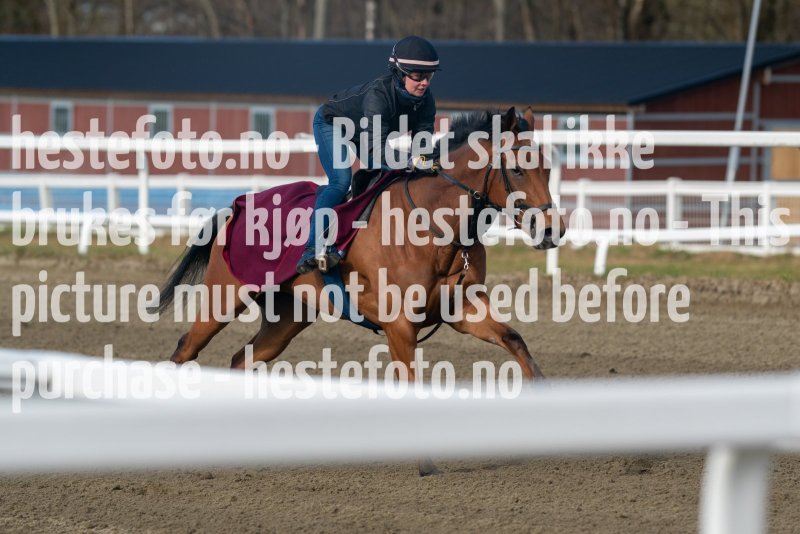 20230429-093426-DSC02274