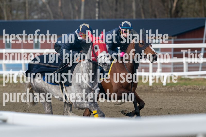 20230429-093448-DSC02326