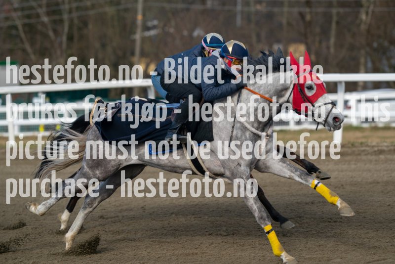 20230429-093448-DSC02331