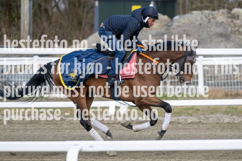 20230429-093553-DSC_8020
