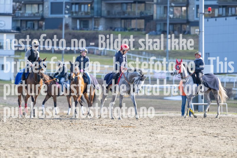 20230429-093832-DSC_8159